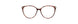 560 - Demi Cognac