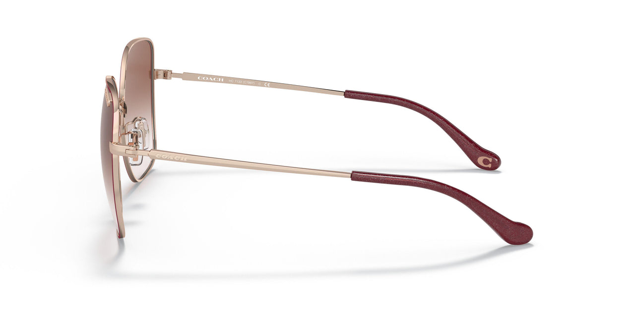 94038D - Bordeaux - Burgundy Gradient