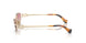 ZVN70O - Gold - Clear Gradient Pink