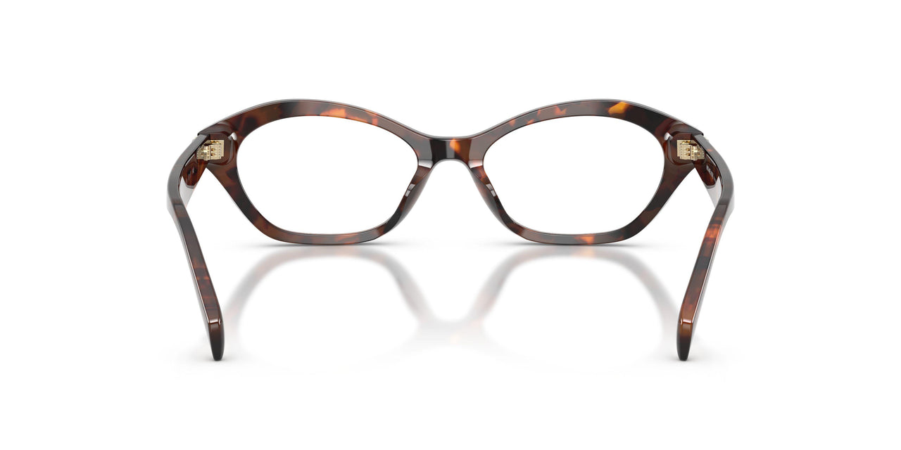 4031 - Tortoise