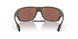 941616 - Brown - Prizm Deep H2o Polarized