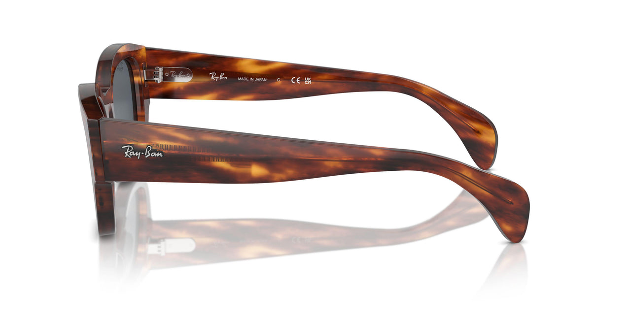 954/R5 - Brown - Blue