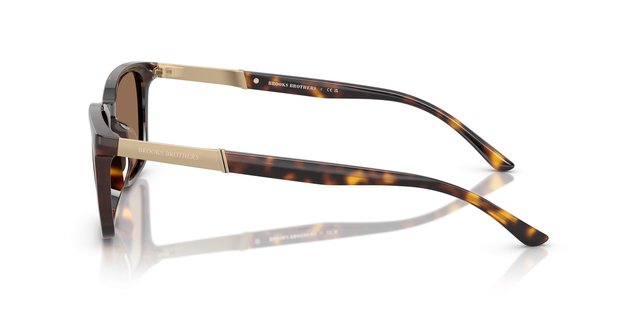 616173 - Tortoise - Dark Brown