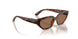 W65673 - Brown - Dark Brown