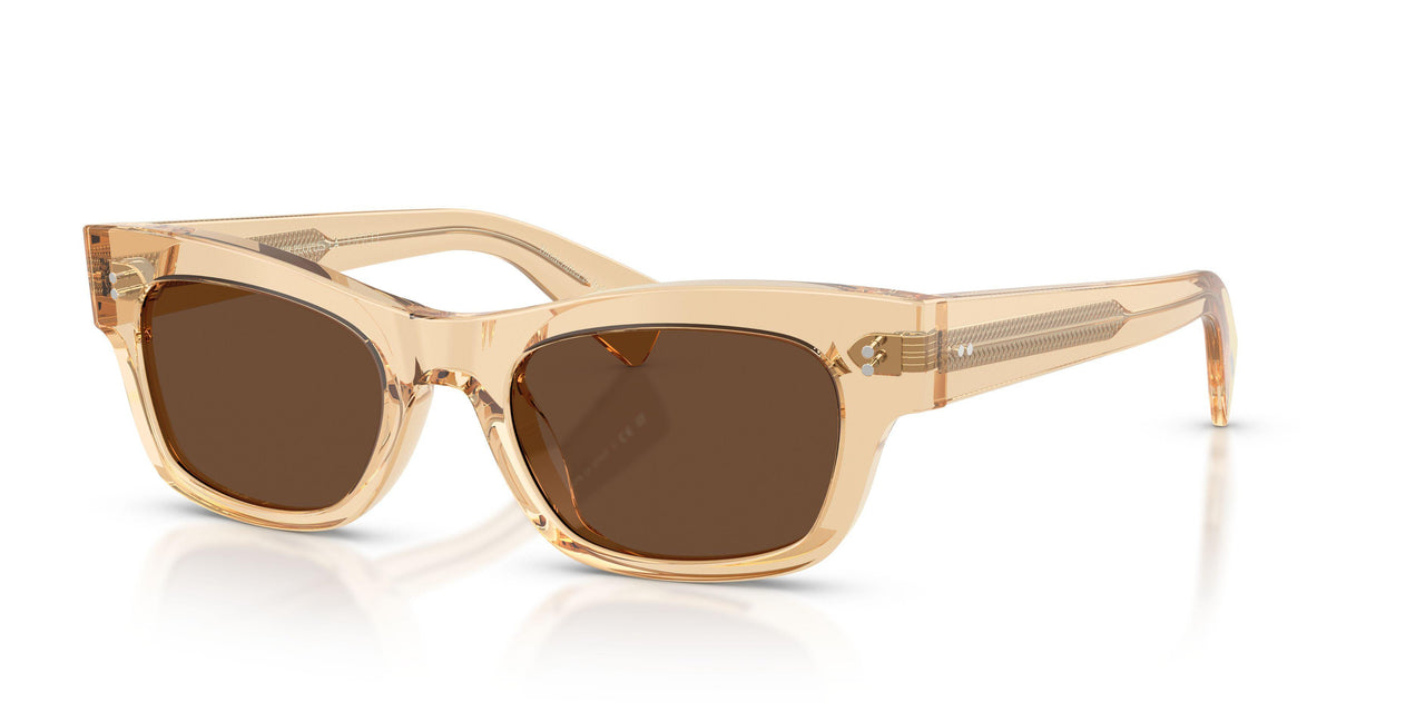 1766AN - Brown - Terra Polarized