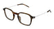002 - Havana/Silver - Transparent