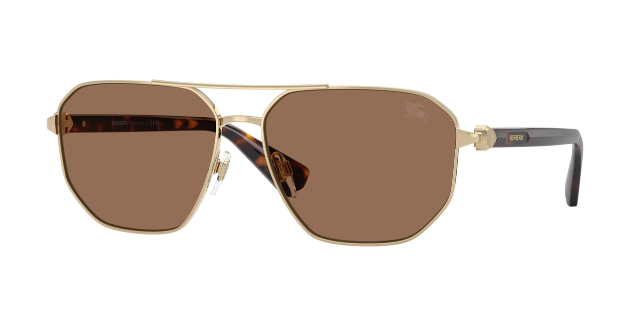 Burberry 3166 Sunglasses