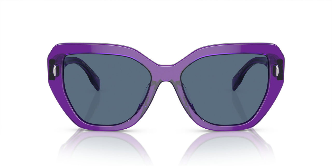 193580 - Violet - Dark Blue
