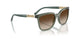 308613 - Green - Gradient Brown