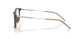 3019 - Brown
