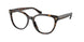 5003 - Brown