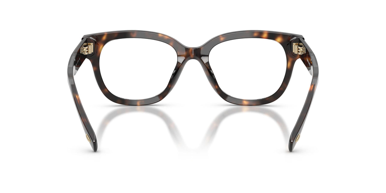 1964 - Tortoise