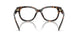 1964 - Tortoise