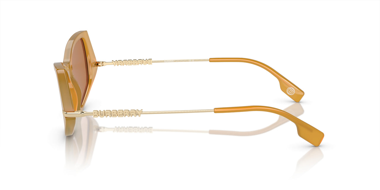 409473 - Yellow - Dark Brown