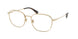 Polo 1242 Eyeglasses