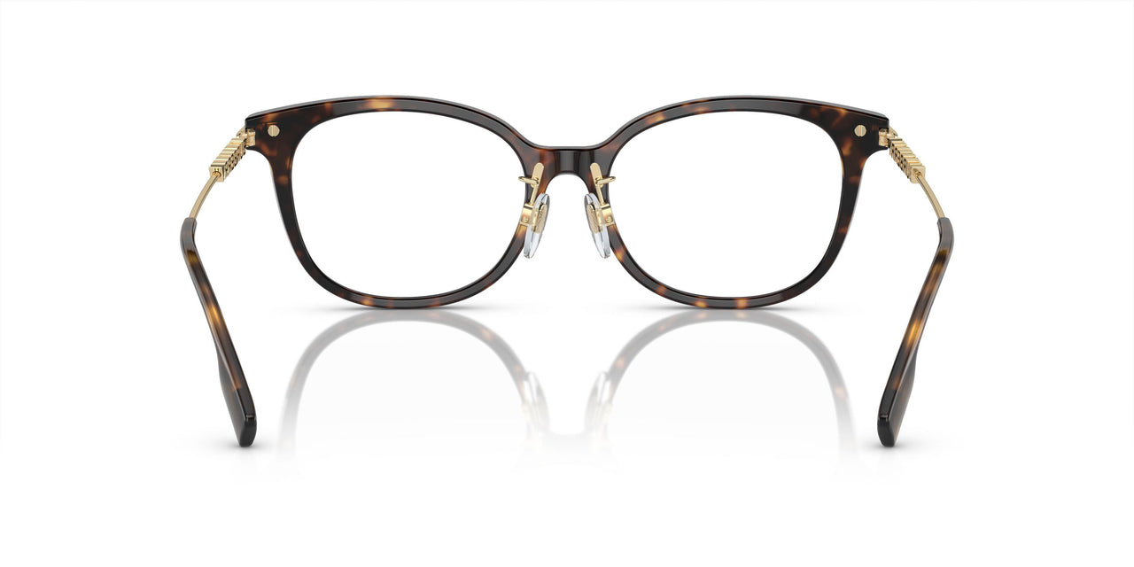 3002 - Brown