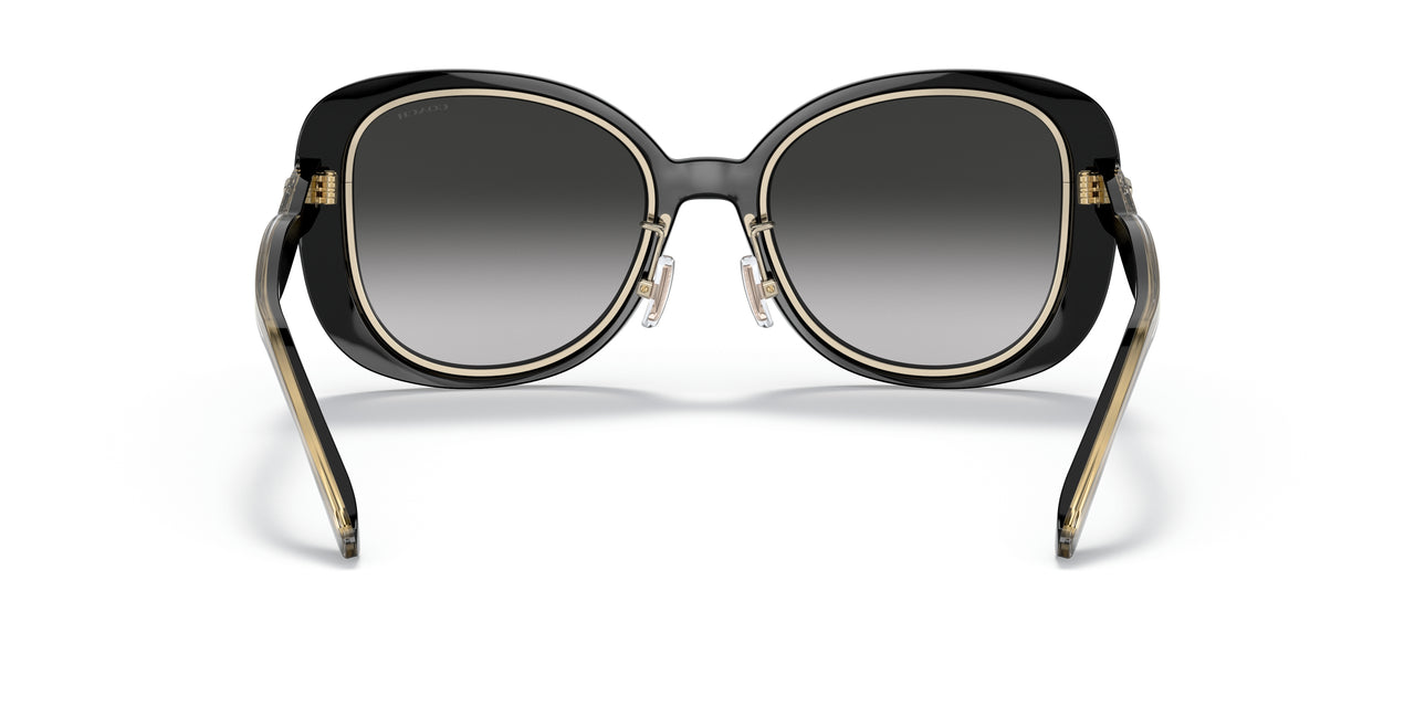 50023C - Black - Grey Gradient