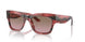 308914 - Red - Violet Gradient Brown