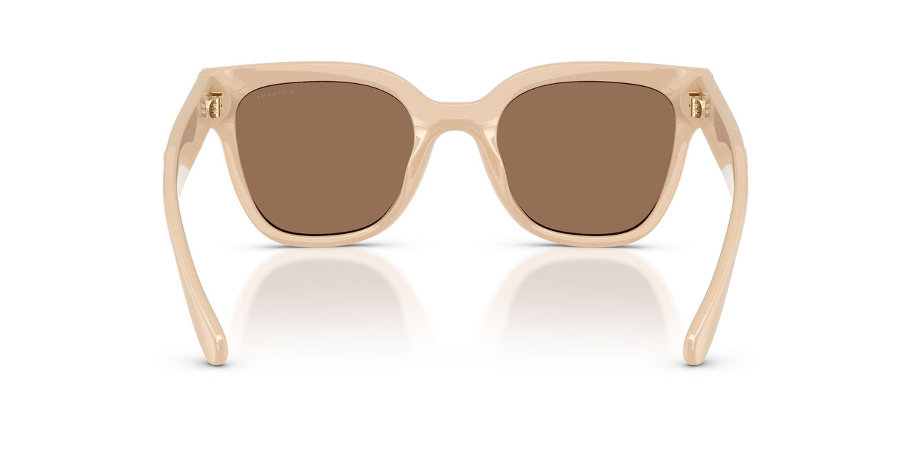 595873 - Pink - Brown Solid