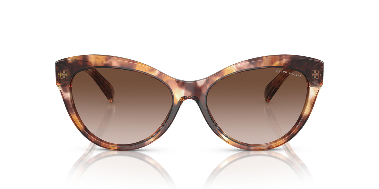 605413 - Tortoise - Gradient Brown