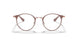 2973 - Brown