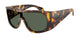 509271 - Tortoise - Dark Green