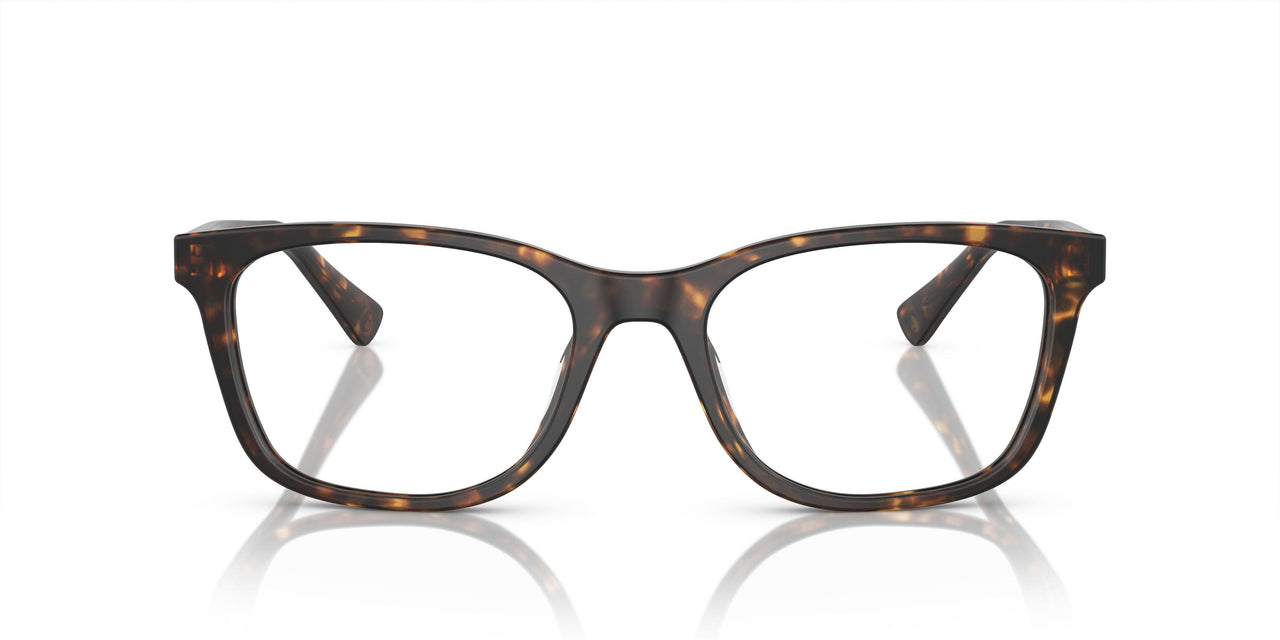 6161 - Tortoise