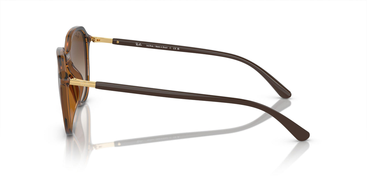 710/13 - Brown - Brown
