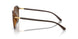710/13 - Brown - Brown