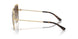 101413 - Gold - Brown Gradient