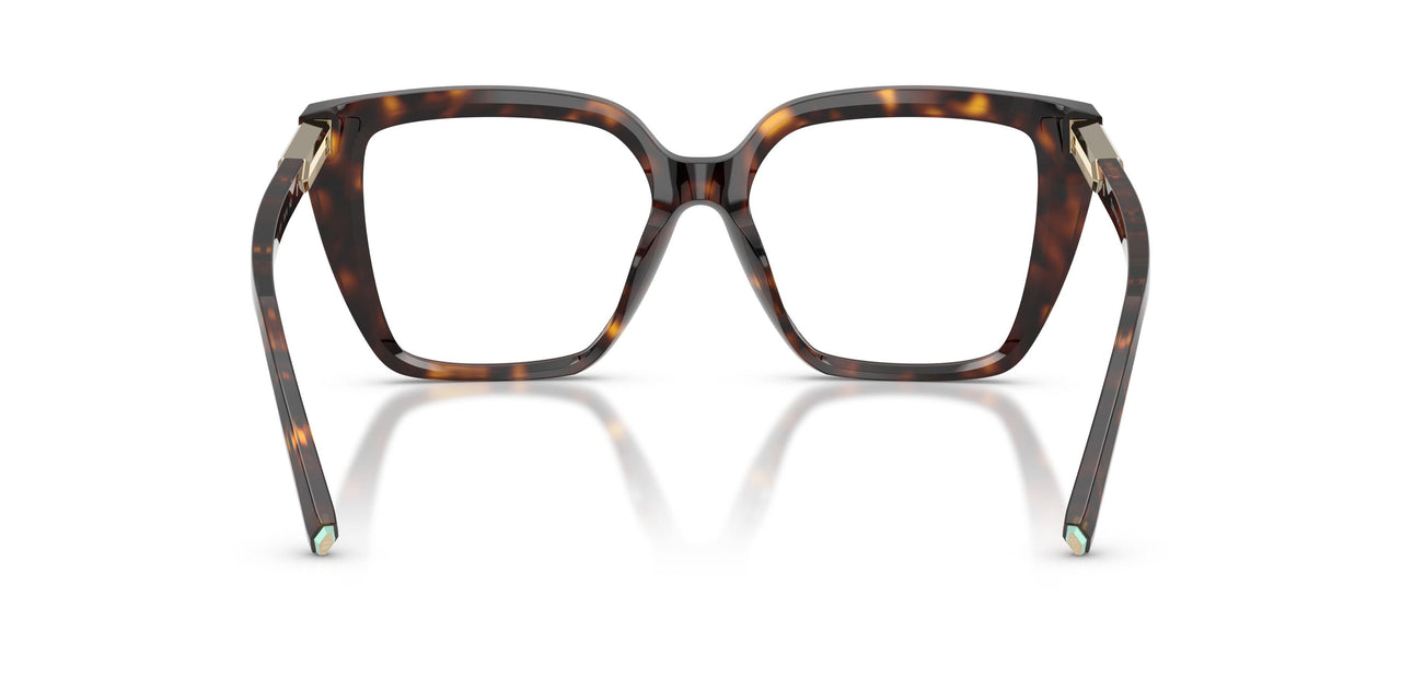8015 - Tortoise