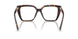 8015 - Tortoise
