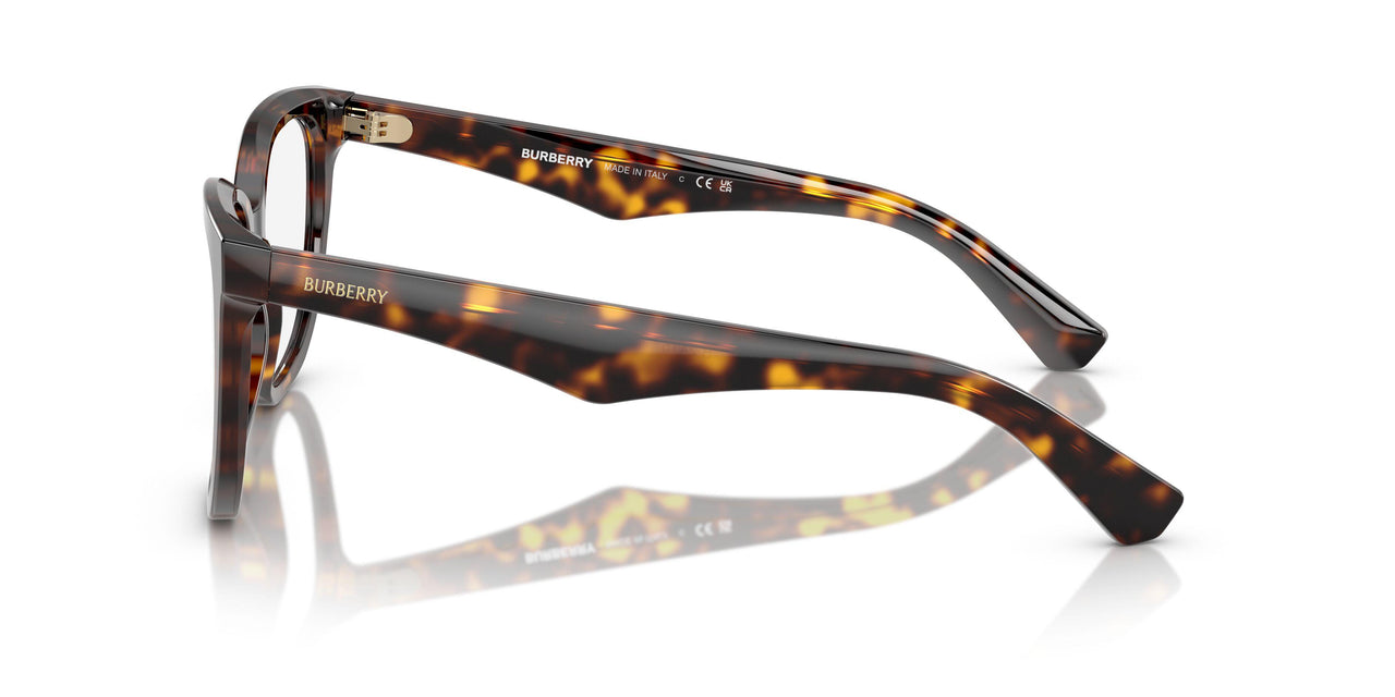 3002 - Brown