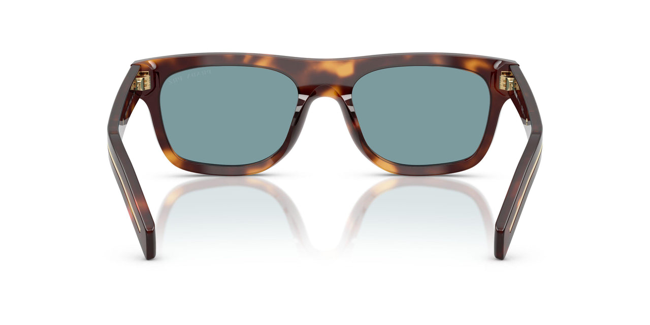 15W04D - Tortoise - Green Polar