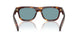 15W04D - Tortoise - Green Polar