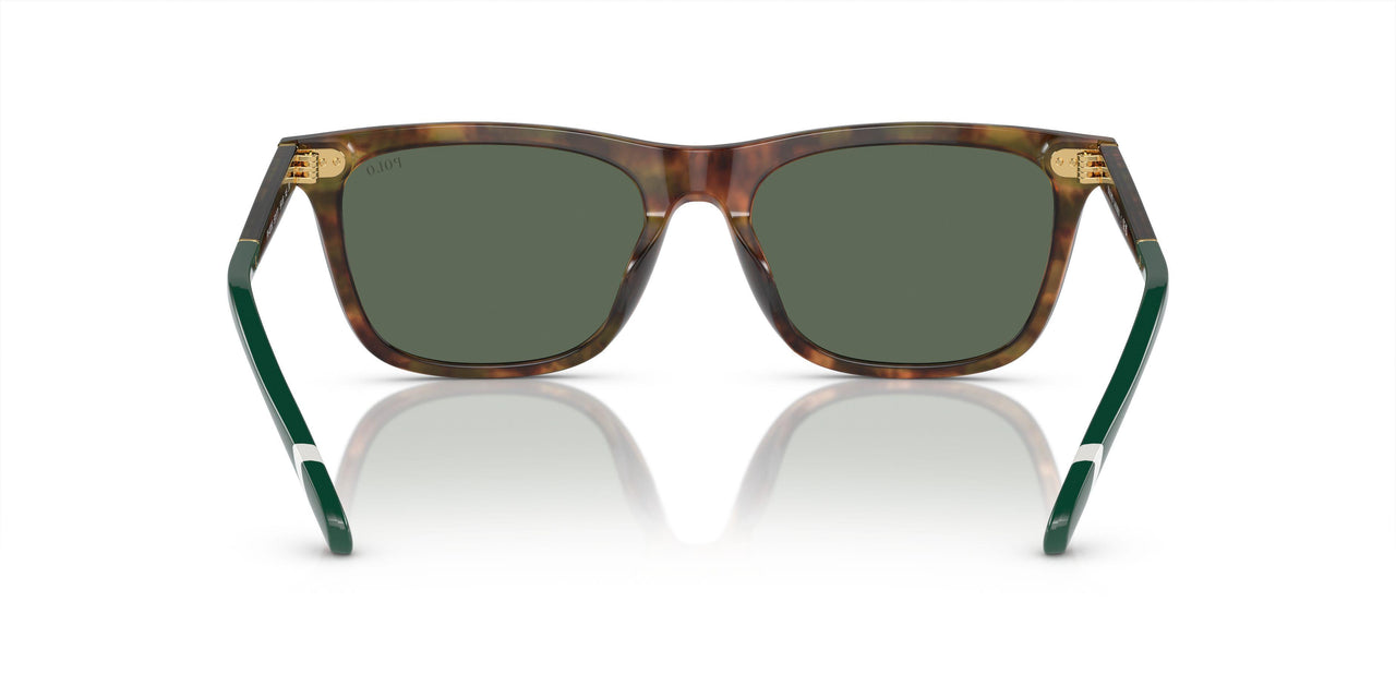 501771 - Tortoise - Bottle Green