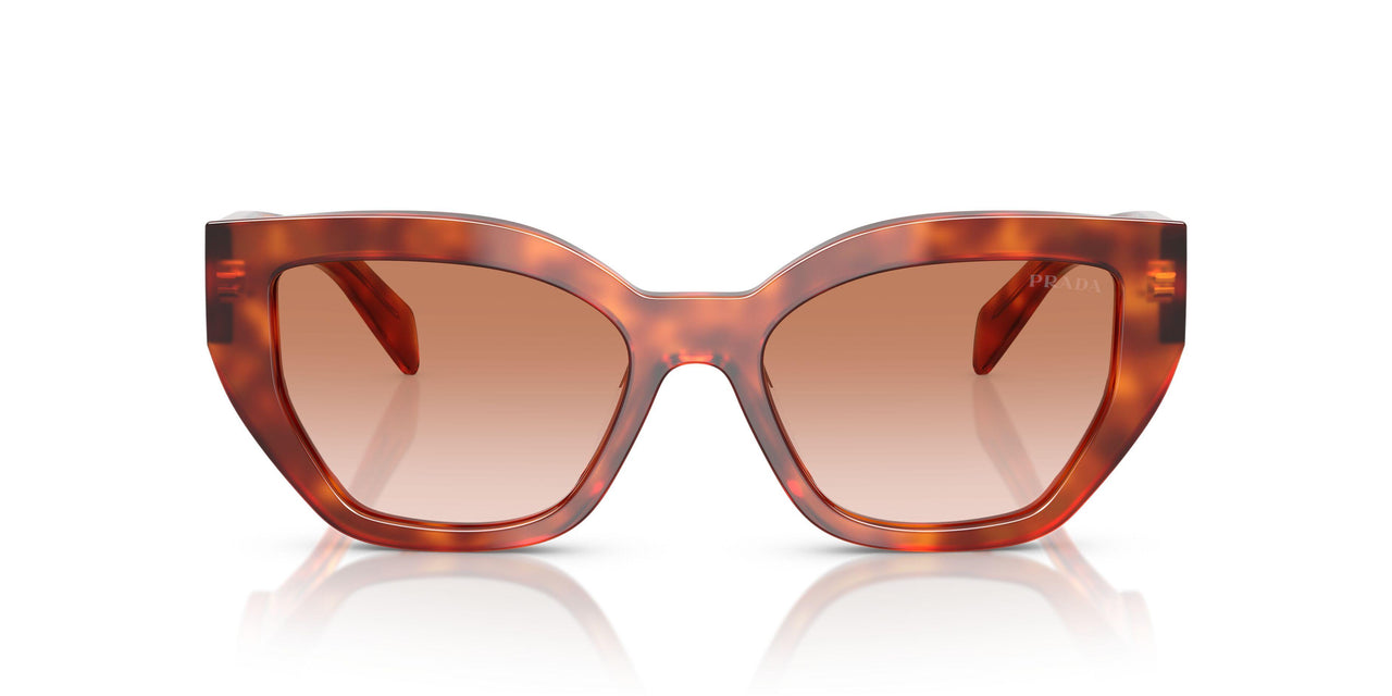 11P70E - Brown - Brown Gradient