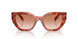 11P70E - Brown - Brown Gradient