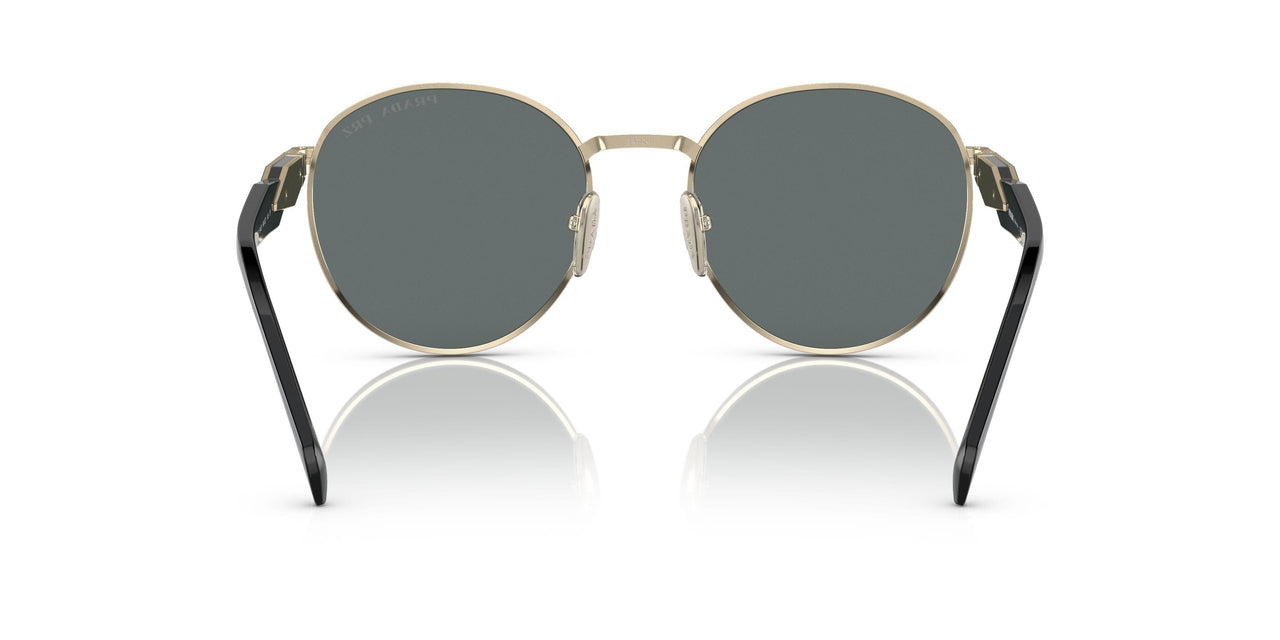AAV5Z1 - Gold - Polar Dark Grey
