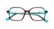 BXTQ - Bordeaux Turquoise