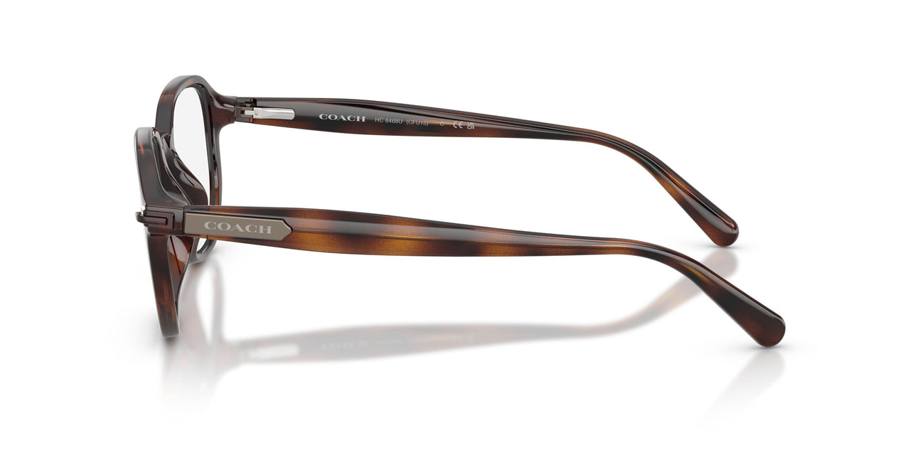 512073 - Tortoise - Brown Solid