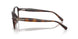 512073 - Tortoise - Brown Solid