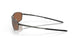 414105 - Brown - Prizm Tungsten Polarized