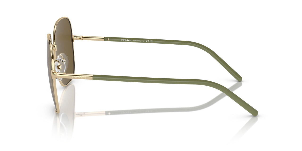 ZVN01T - Gold - Dark Brown