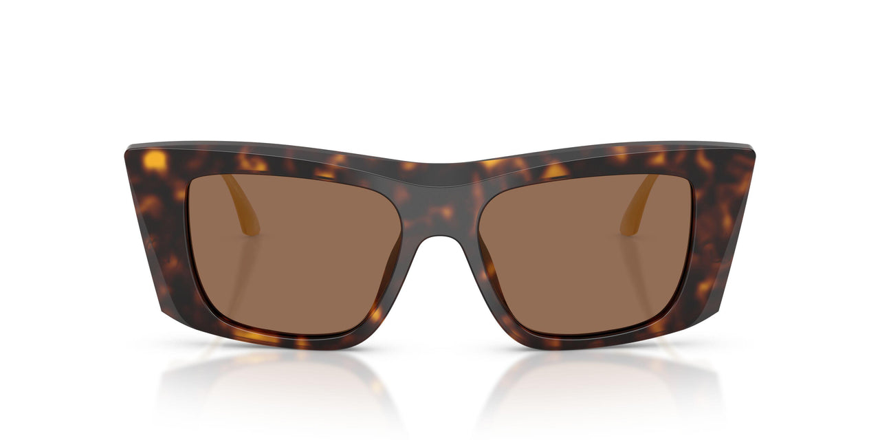 502/73 - Tortoise - Dark Brown