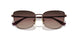 5074E2 - Copper - Brown Gradient Purple Black