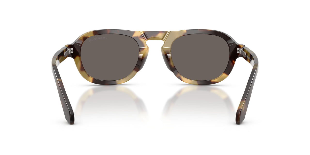6301B1 - Tortoise - Dark Grey