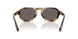 6301B1 - Tortoise - Dark Grey