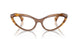 003 - Brown