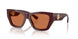 411973 - Red - Brown